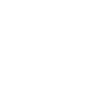 proteccion - clever capital